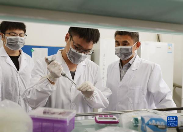 创新研发推进淡水珍珠财富高质量成长